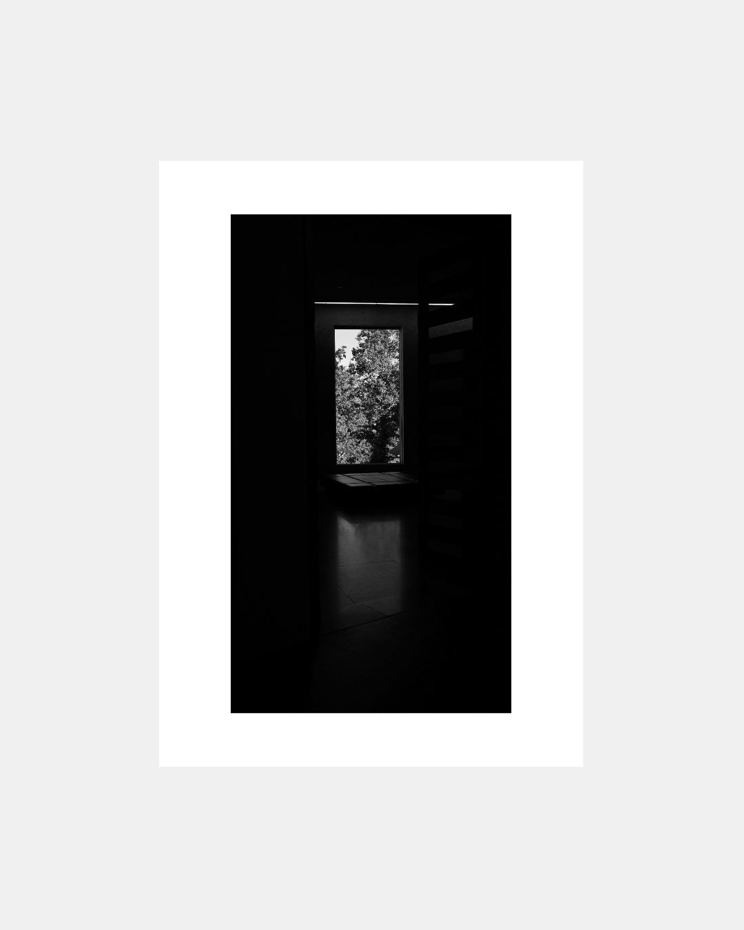Closer by Weldon Lee | Photography Art Print GAROME
