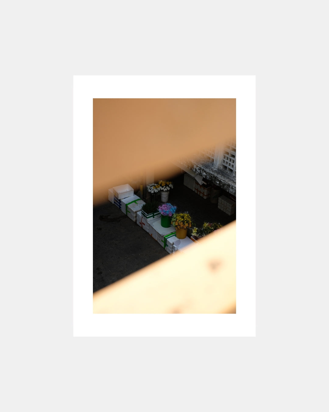 Flower by Weldon Lee | Photography Art Print GAROME