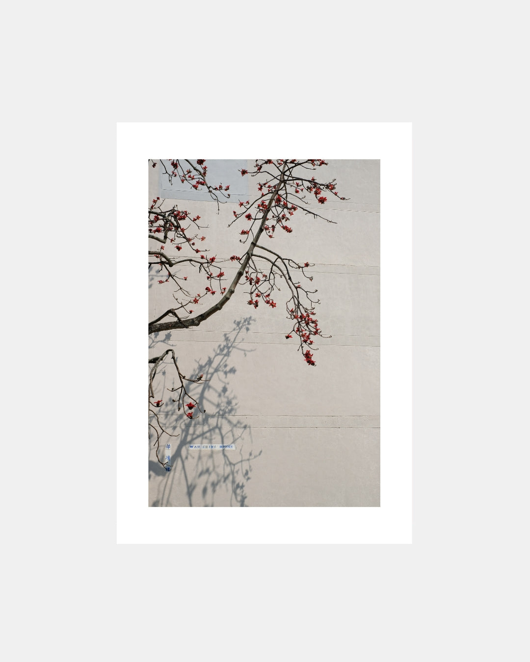 Wah Fu Estate by Weldon Lee | Photography Art Print GAROME