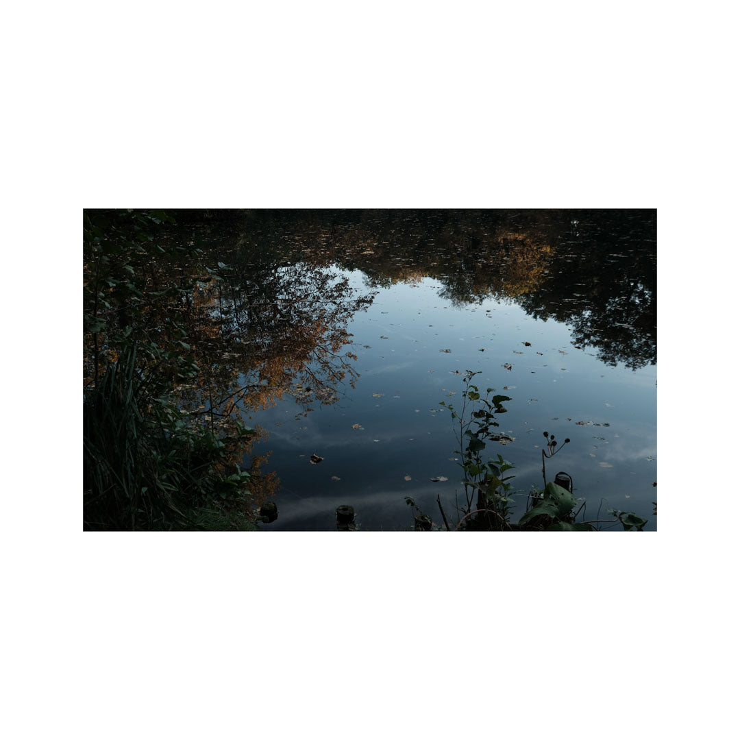 Pond by Studio Leedon | Photography Art Print